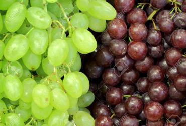 How are grapes fertilized?